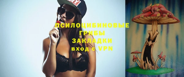 ECSTASY Каменногорск