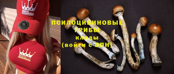 каннабис Каменск-Шахтинский