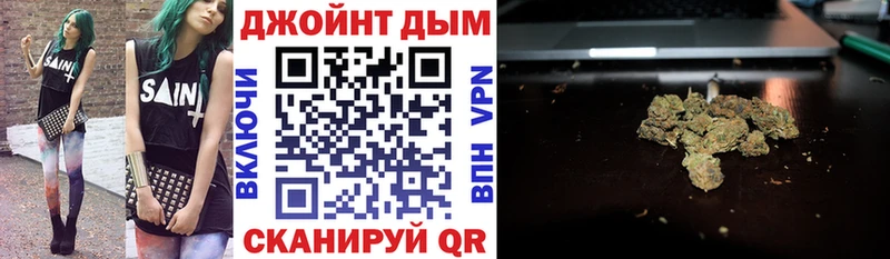 Каннабис ГИДРОПОН  Купить  Гай 